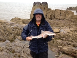 Glen with a Smoothhound from Wigtown Bay